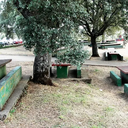 La Cruziana